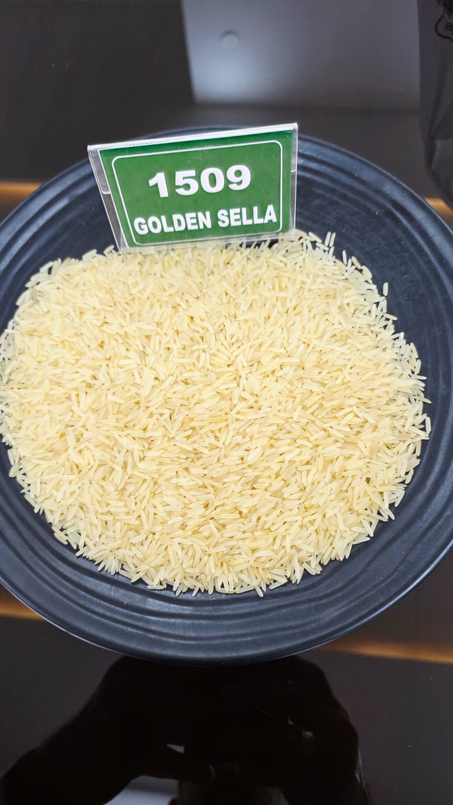 1509 Golden Sella