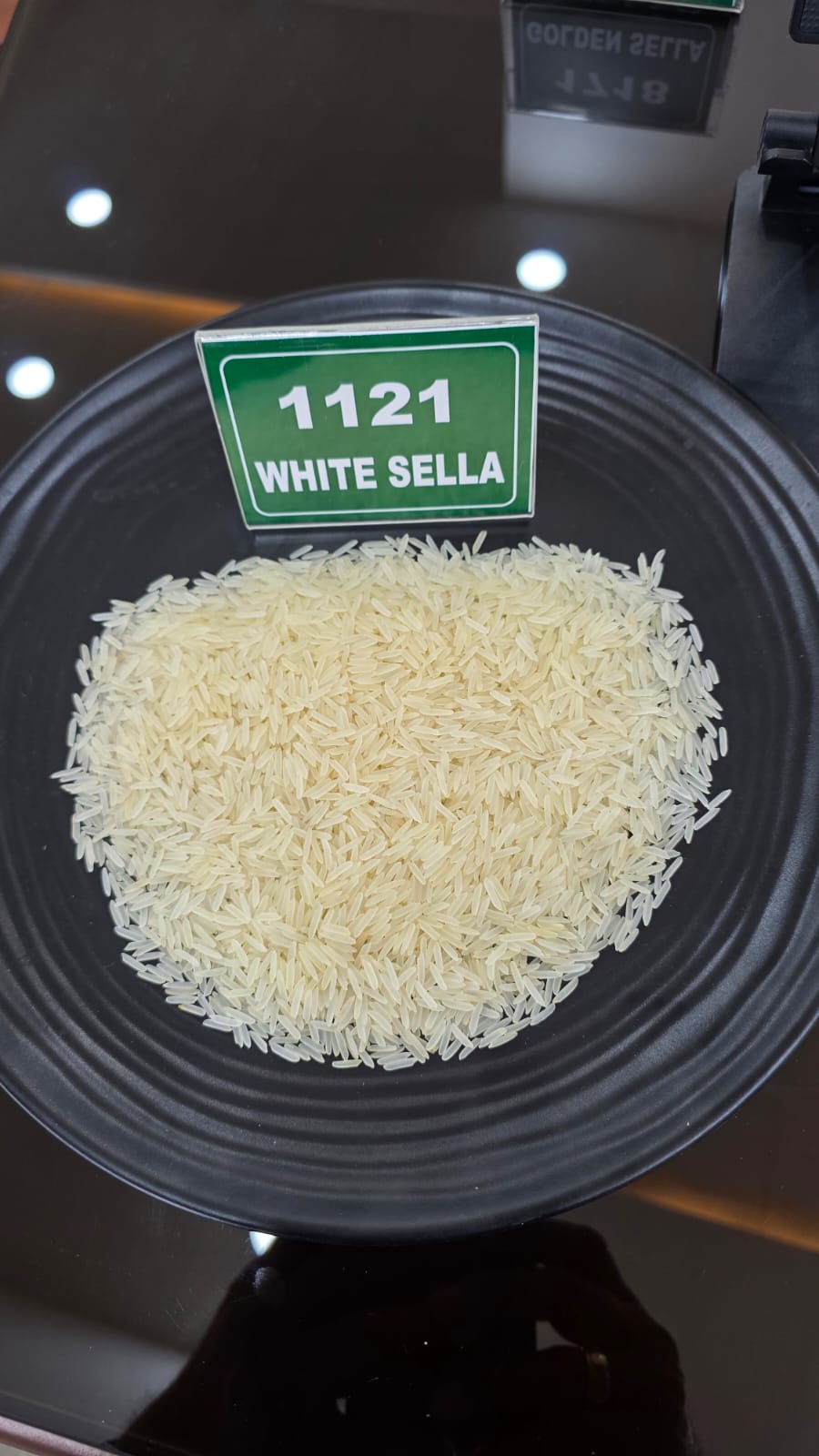 1121 White Sella